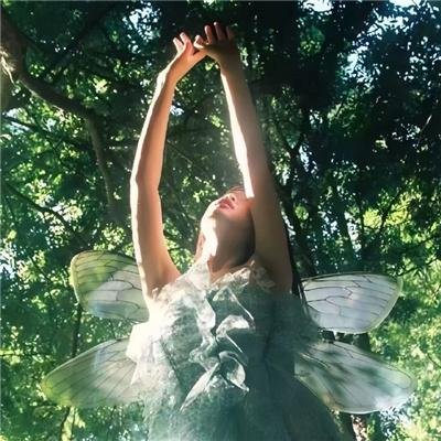 81号农场之疯狂的麦咭